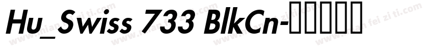 Hu_Swiss 733 BlkCn字体转换